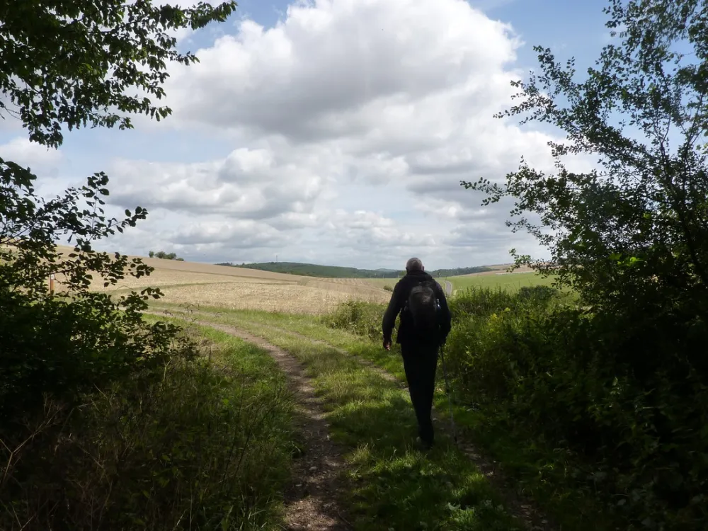Campingpark Waldwiesen
