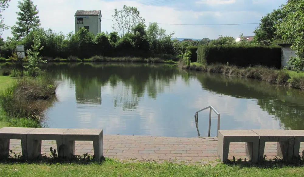 Campingpark Waldwiesen