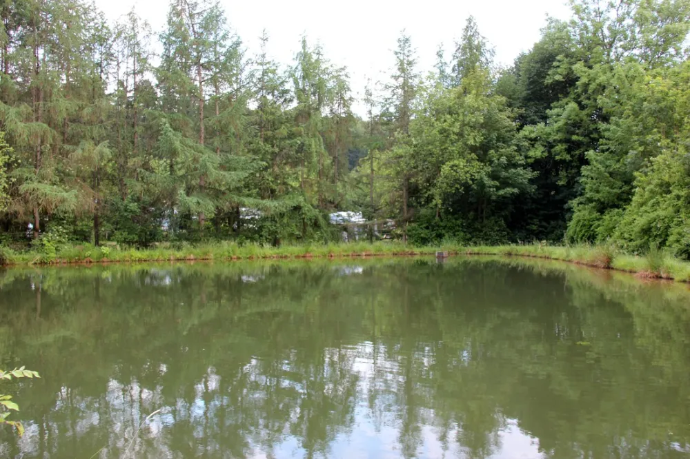 Campingpark Waldwiesen