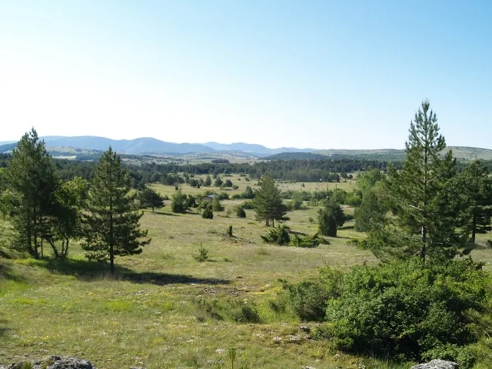 Camping Domaine de Pradines  