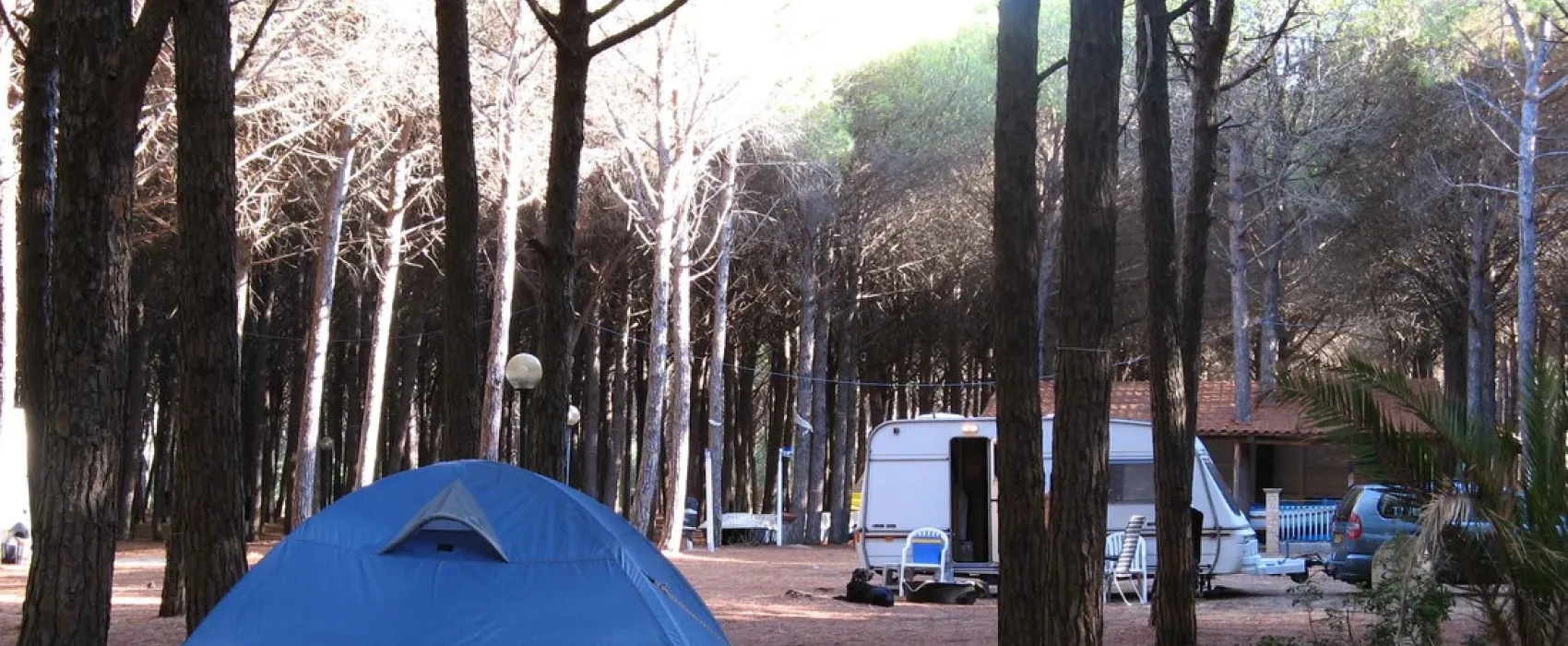 Campeggio Pineta mare