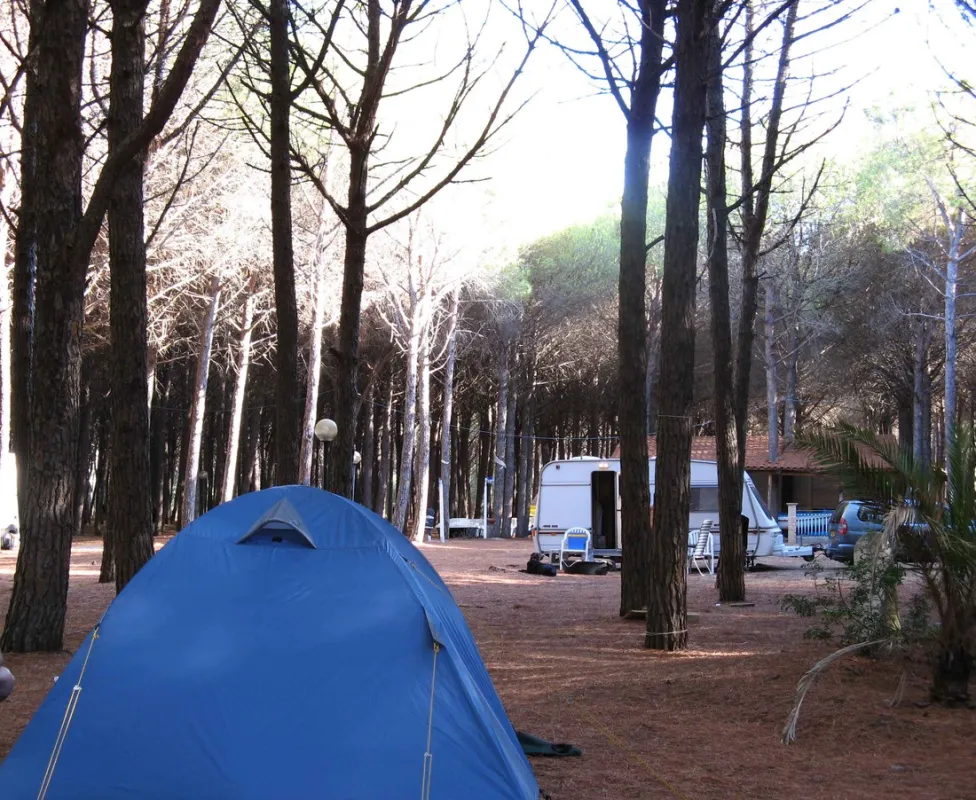 Campeggio Pineta mare