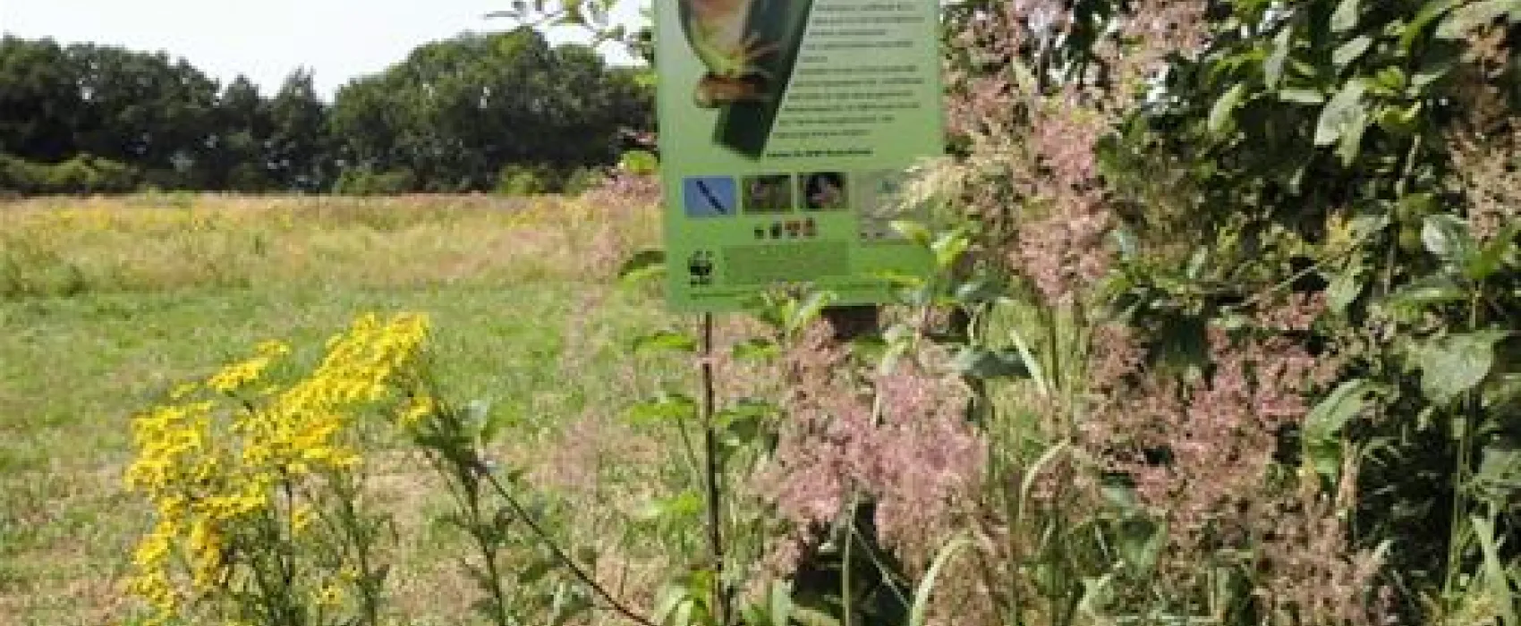 Naturcamping Buchholz