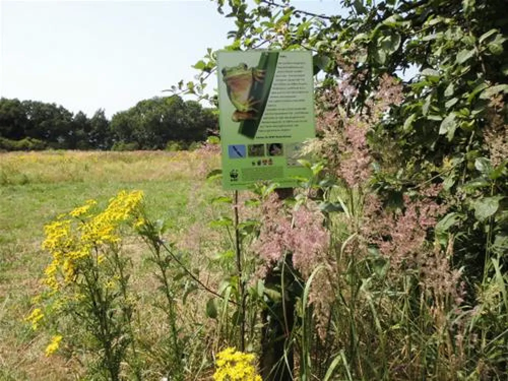 Naturcamping Buchholz