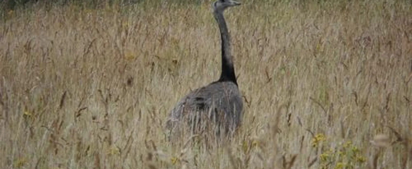 Naturcamping Buchholz