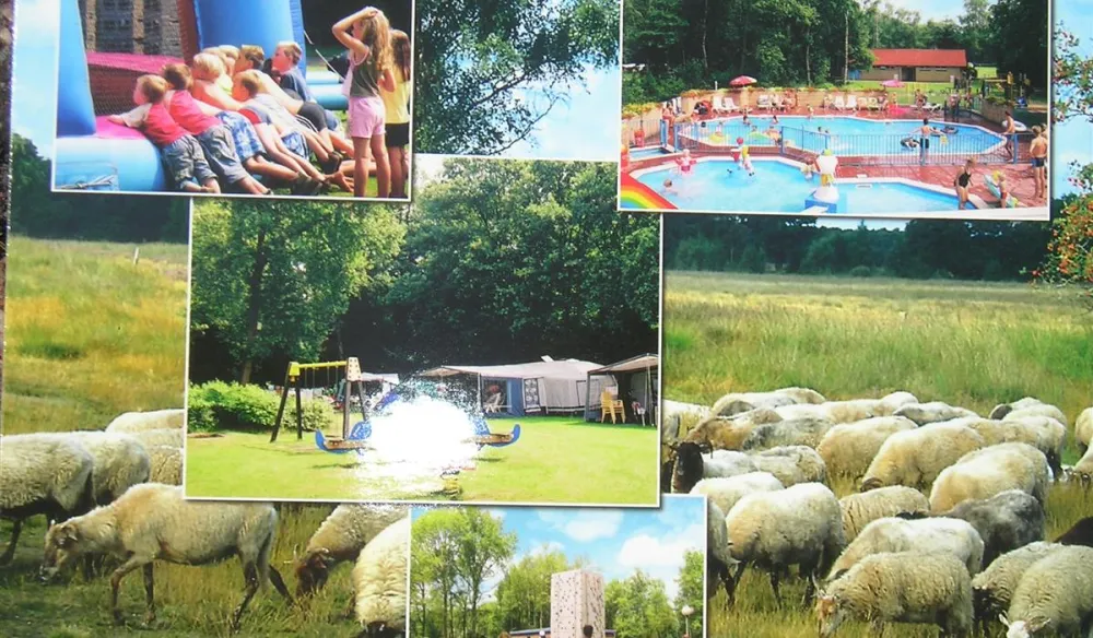 Charme Camping Heidepark