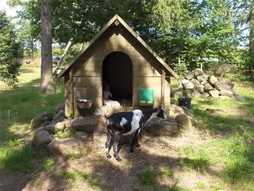 A35 Sindal Camping & Kanoudlejning