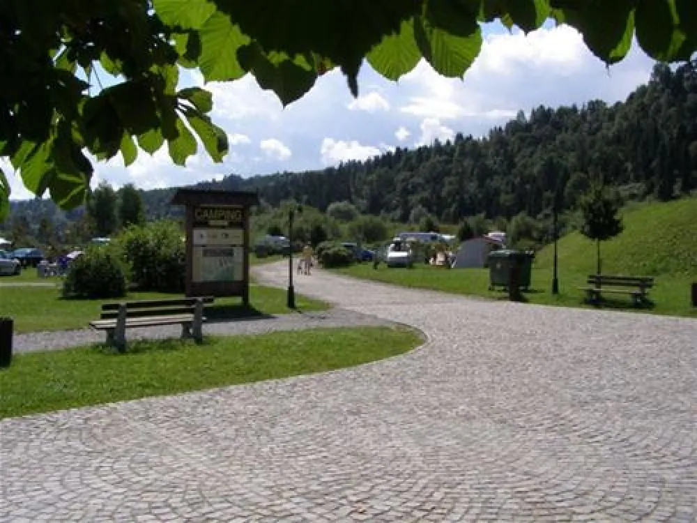 Camping** Nr 38 Polana Sosny