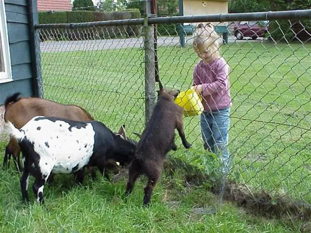 Camping De Blekkenhorst