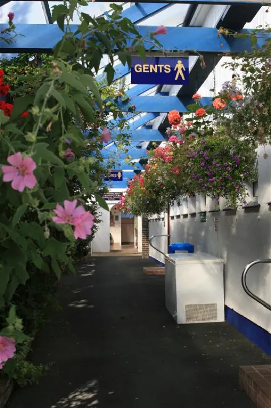 Seaview International