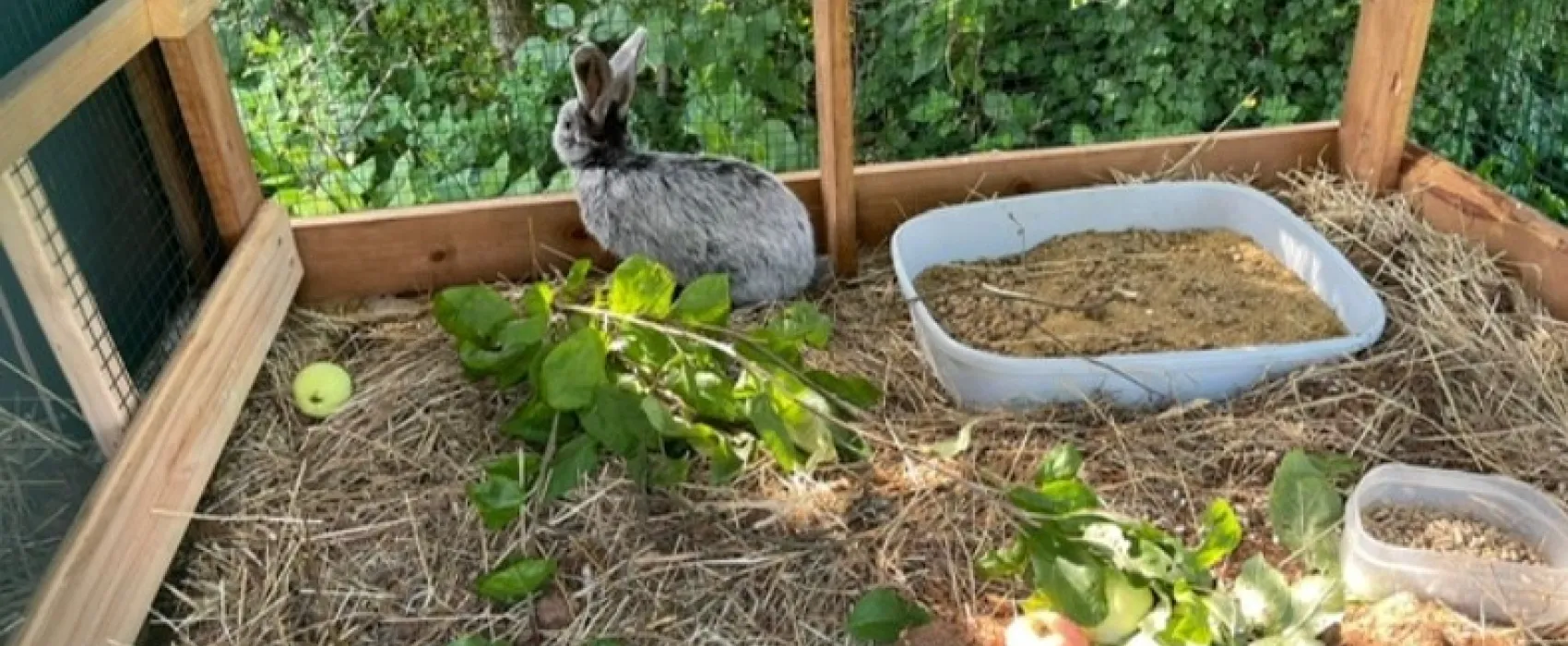 Omppula ja OMP-Taksi