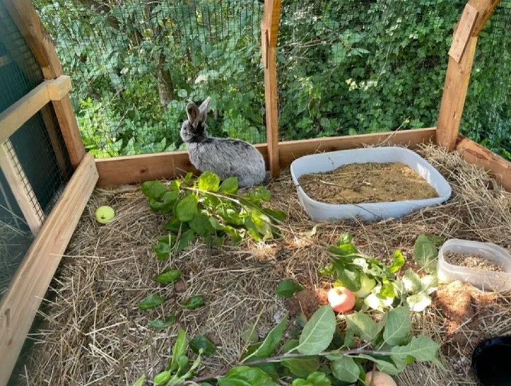 Omppula ja OMP-Taksi