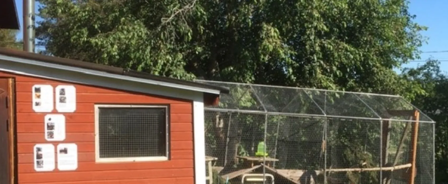 Omppula ja OMP-Taksi