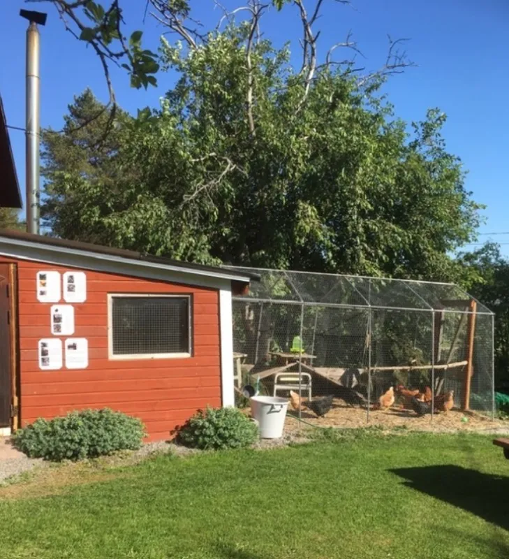 Omppula ja OMP-Taksi