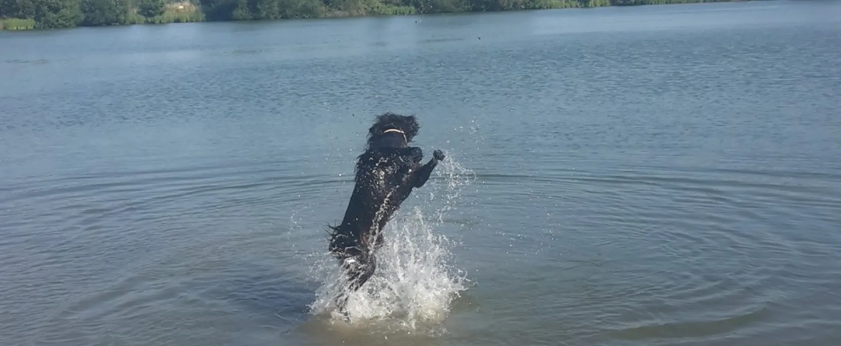 Risle Seine Les Etangs