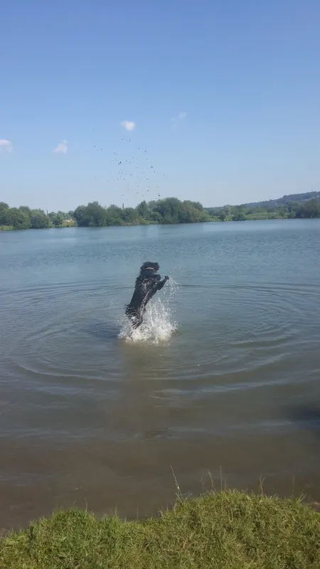 Risle Seine Les Etangs