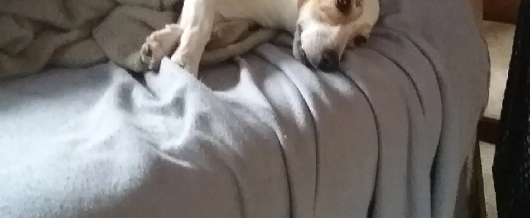 Cliff & Ed's Campground