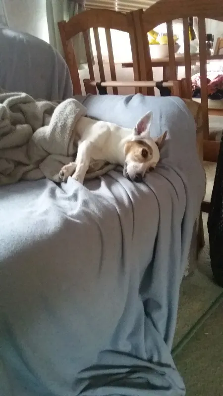 Cliff & Ed's Campground