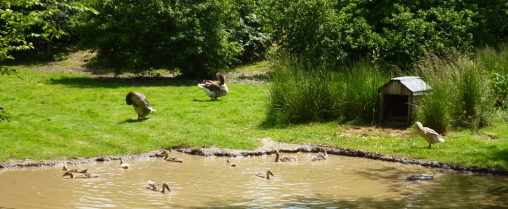 Naturcamping Berfhof