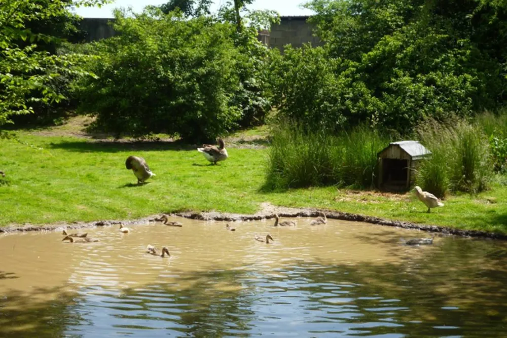 Naturcamping Berfhof