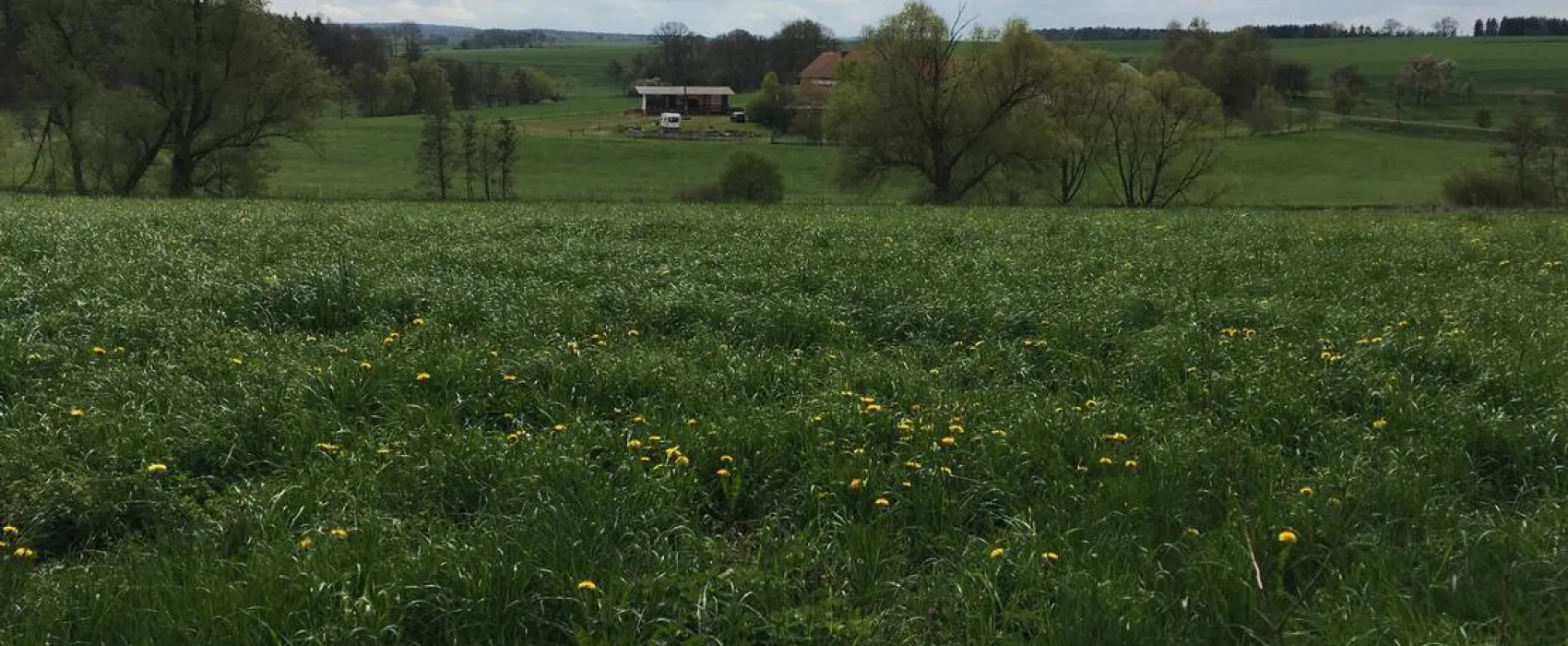 Naturcamping Berfhof