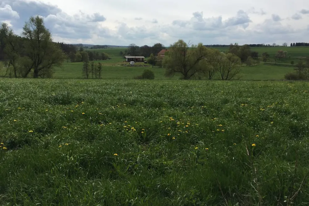 Naturcamping Berfhof