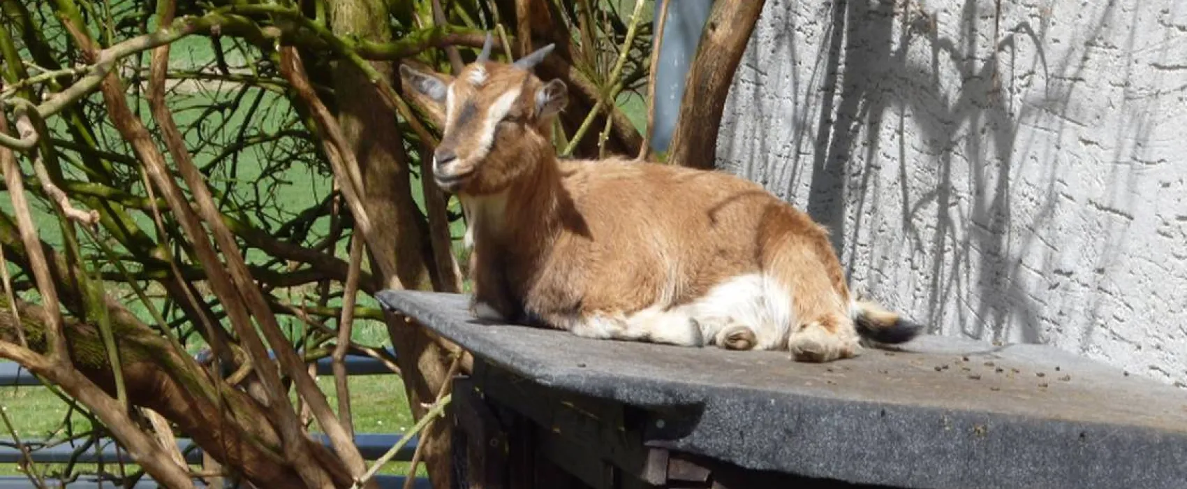 Naturcamping Berfhof