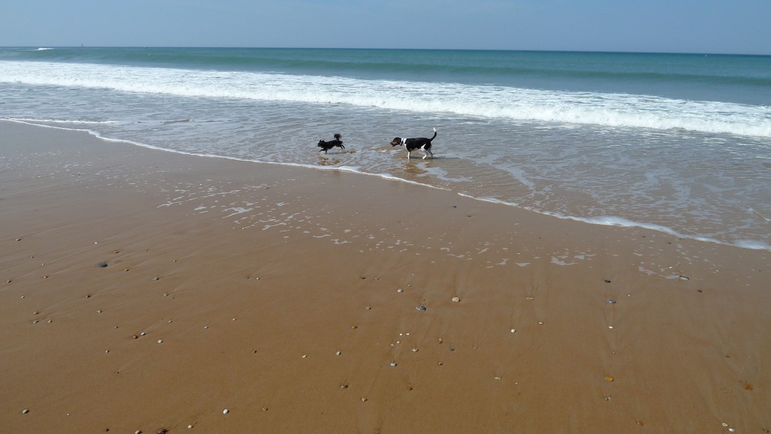 Summer nest photo 5