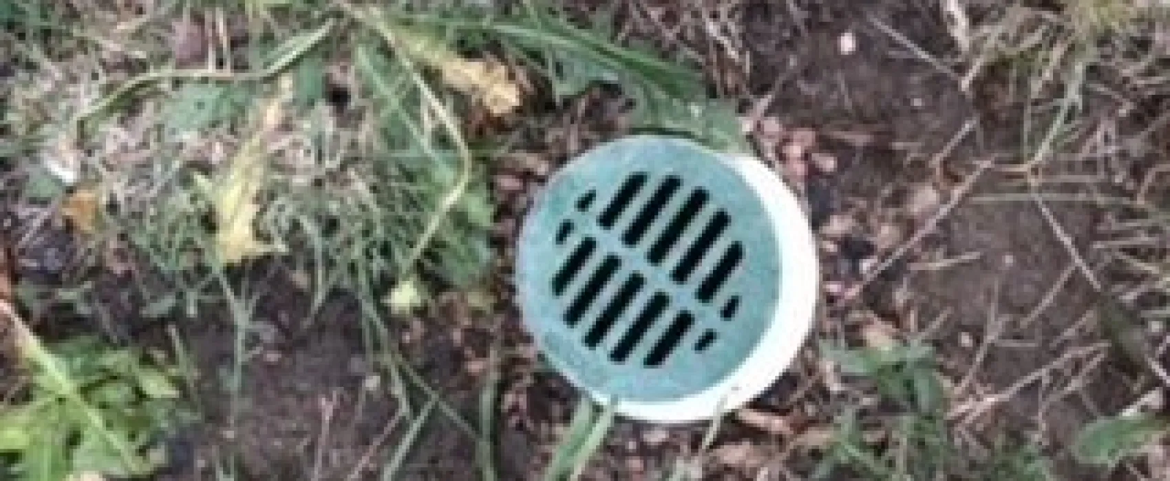 Fort Collins North-Wellington KOA