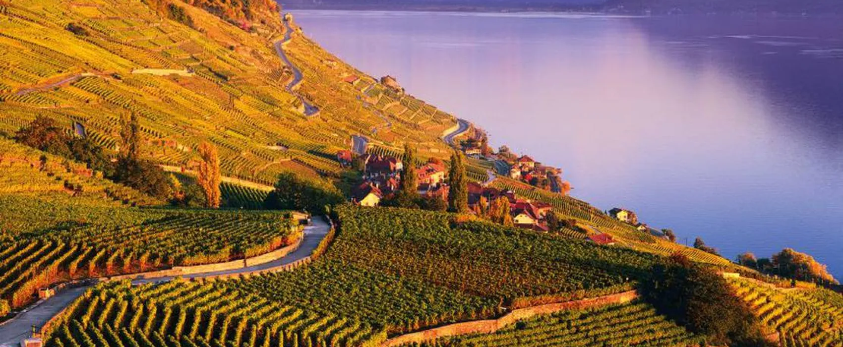 Camping Les Horizons Bleus