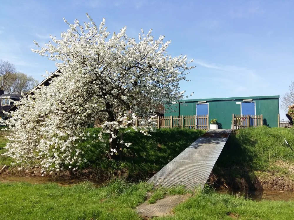 Camping Biesboschhoeve