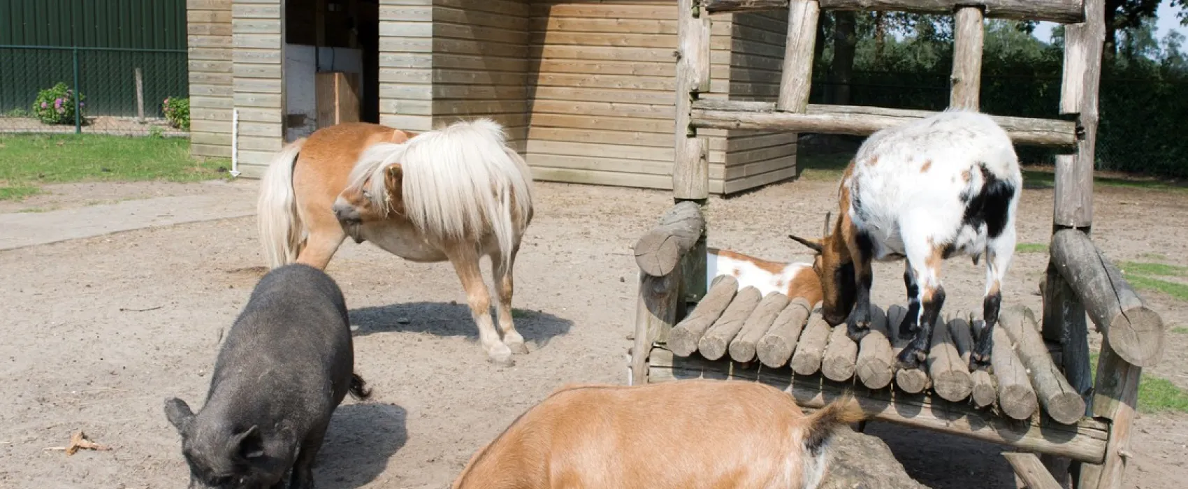 't Witven Recreatiecentrum