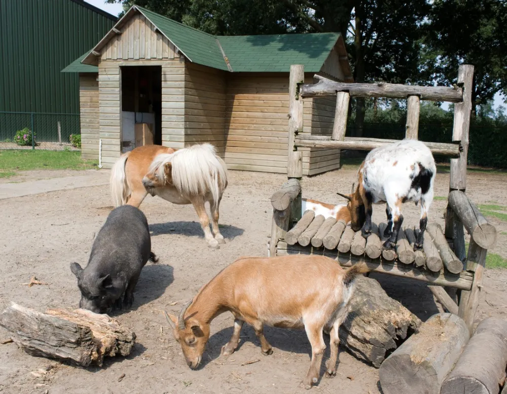 't Witven Recreatiecentrum