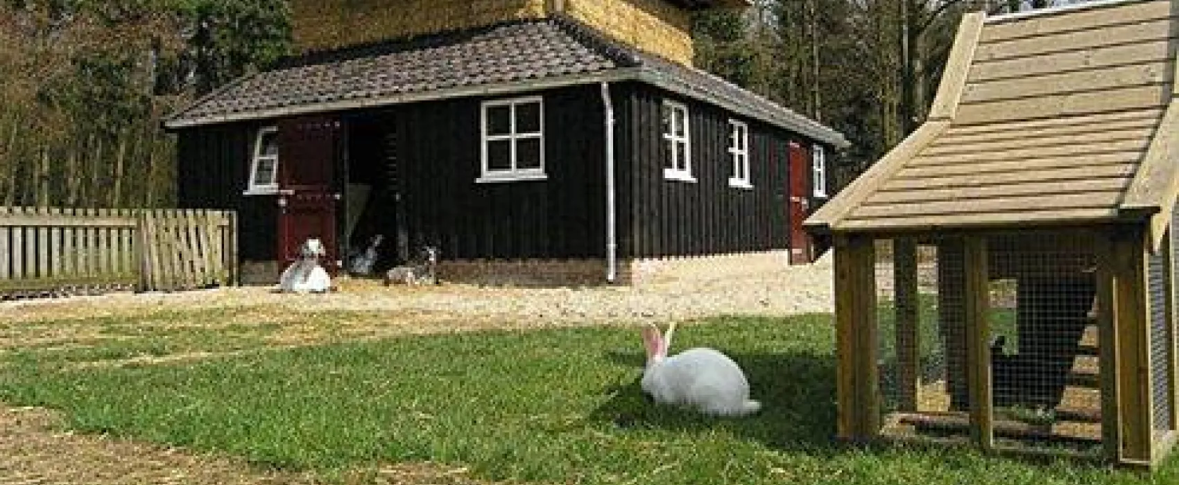 Camping De Helfterkamp