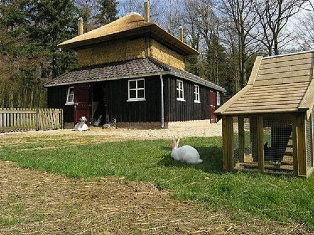 Camping De Helfterkamp