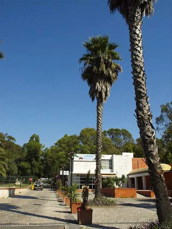 Lisboa Camping & Bungalows