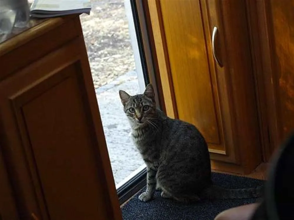 Lisboa Camping & Bungalows