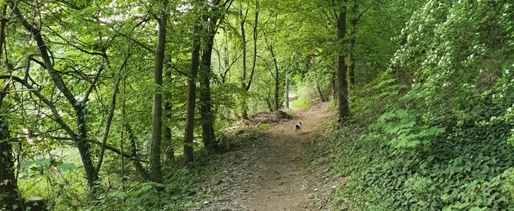 Campingplatz Leutesdorf & Biergarten OASE