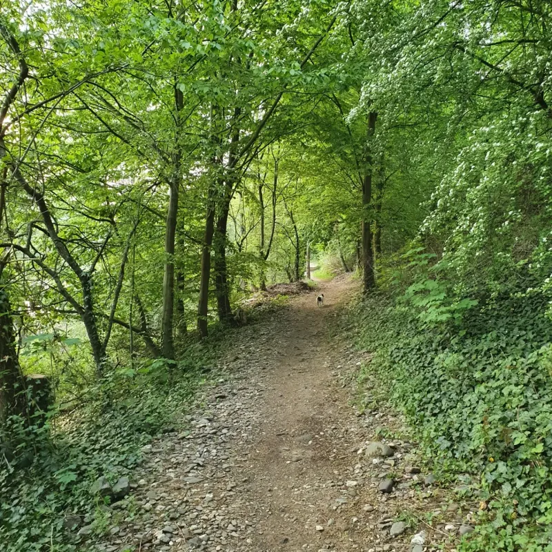 Campingplatz Leutesdorf & Biergarten OASE