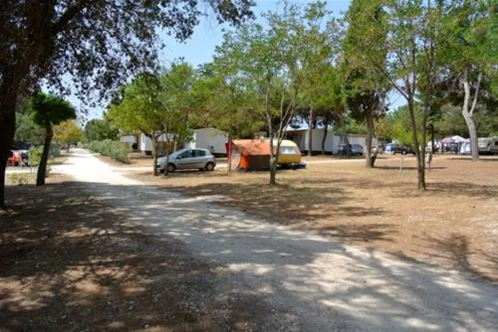 Camping Kazela