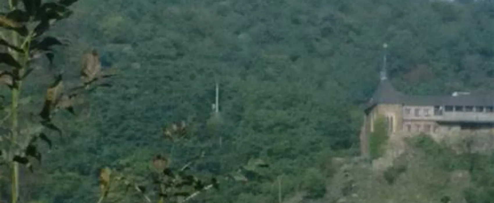 KNAUS Campingpark Mosel/Burgen