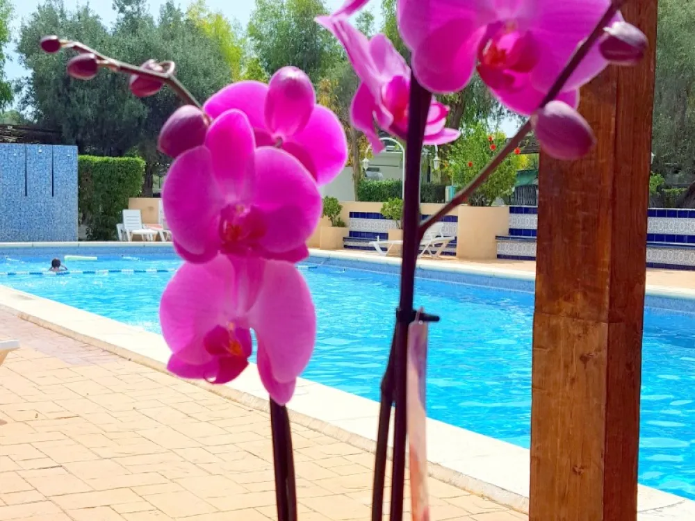 Camping Costa Blanca