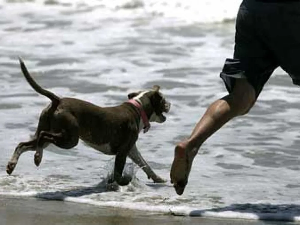 Camping Costa Blanca