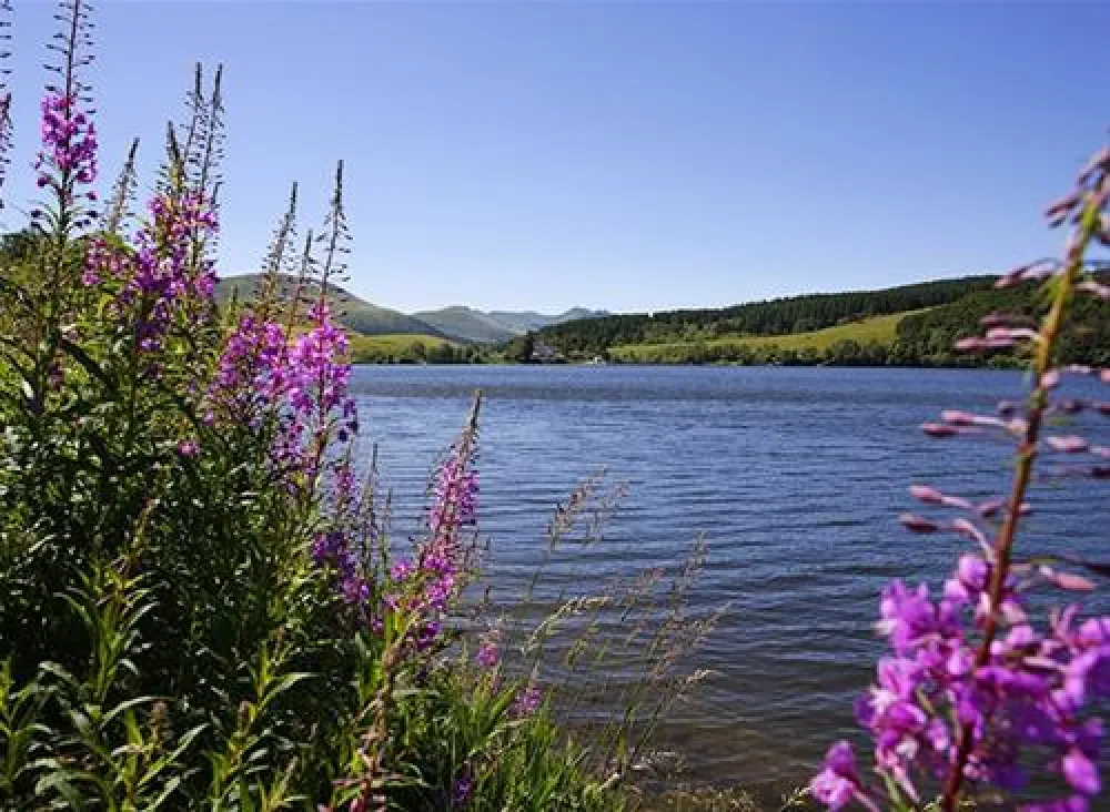 Flower Camping La Vallee Verte  