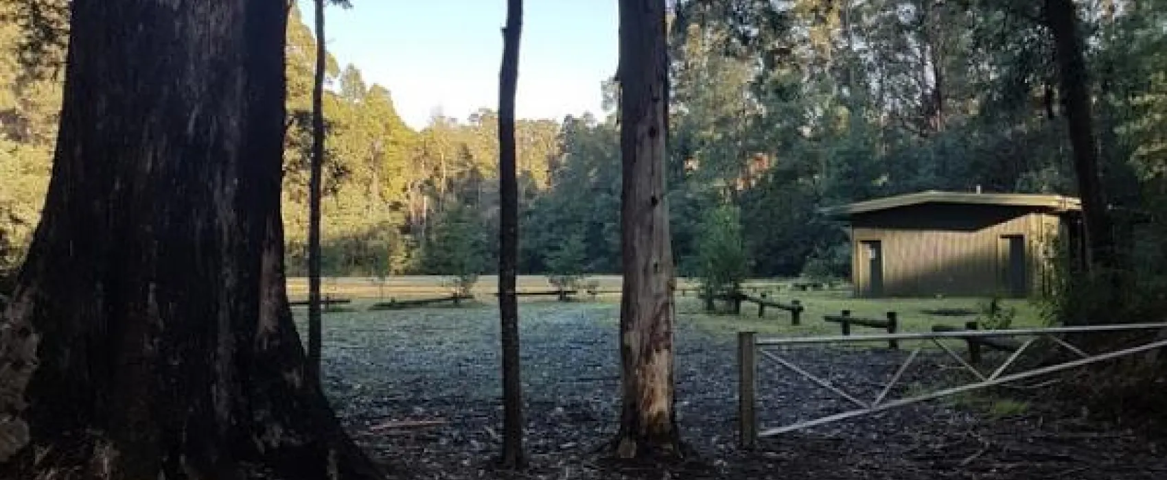 Toolangi Recreation Reserve Campground