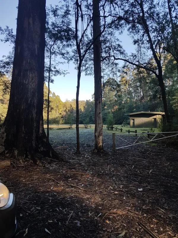Toolangi Recreation Reserve Campground