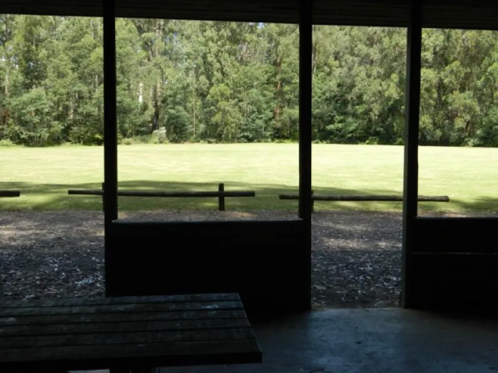 Toolangi Recreation Reserve Campground