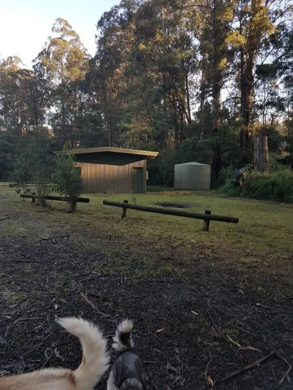 Toolangi Recreation Reserve Campground
