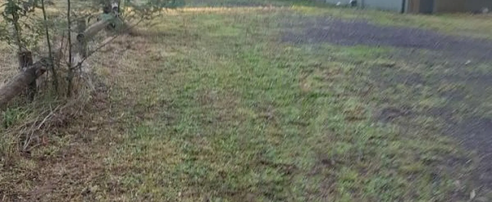 Toolangi Recreation Reserve Campground