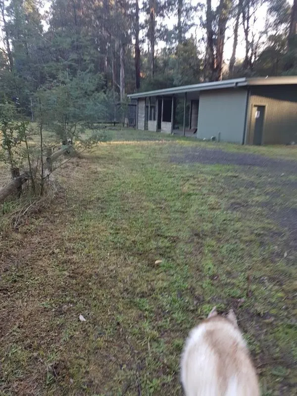 Toolangi Recreation Reserve Campground